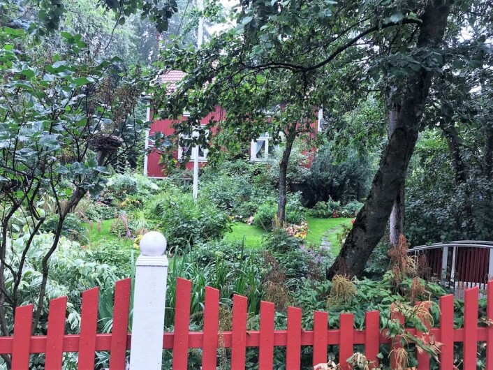 Hagen er meget frodig og blomsterrik der den ligger til skue fra veien, sier Oslo kommunes hagepremieringskomite om denne hagen. Hagen er meget frodig og blomsterrik der den ligger til skue fra veien, sier Oslo kommunes hagepremieringskomite om denne hagen.
