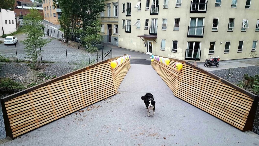 Sundtbroa er åpen for mann, mus og hund. Foto: Tarjei Kidd Olsen