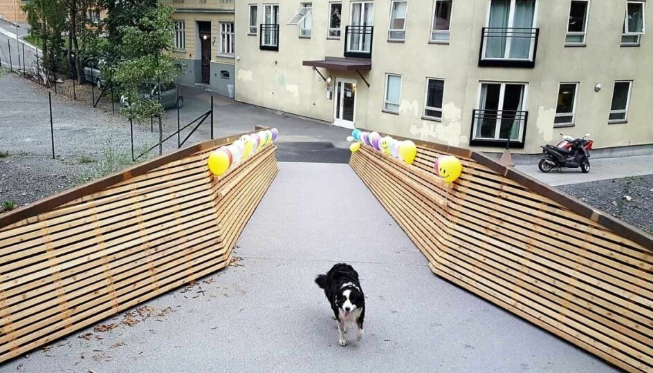 Sundtbroa nederst på Grünerløkka kan nå bli en permanent bro. Her ser vi en tilsynelatende fornøyd hund som oppdaget den nye snarveien over Akerselva allerede kort tid etter åpninga i 2018.