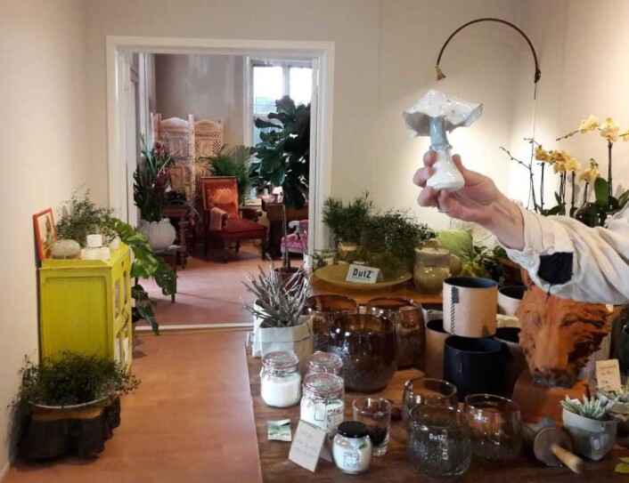 Keramiker <strong>Ragnhild Walla</strong> har laget denne fine soppen og annen keramikk i butikken. Alt er til salgs. Møbler, bøker og planter. Foto: Anders Høilund Keramiker <strong>Ragnhild Walla</strong> har laget denne fine soppen og annen keramikk i butikken. Alt er til salgs. Møbler, bøker og planter. Foto: Anders Høilund