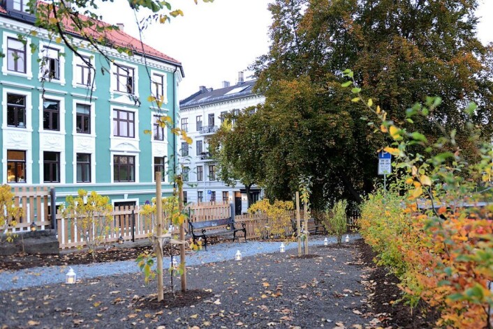 Slik har Cecilie Wille tegnet ut den nye parken. Til våren kommer det grønt løv på trærne og tulipaner opp av jorda. Foto: Morten Lauveng Jørgensen Slik har Cecilie Wille tegnet ut den nye parken. Til våren kommer det grønt løv på trærne og tulipaner opp av jorda. Foto: Morten Lauveng Jørgensen