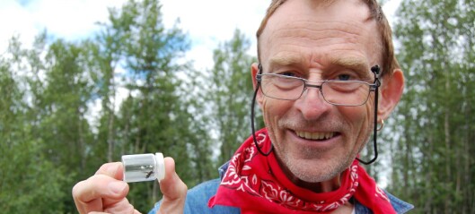 Morten Falck (72) fra Hasle donerer sin verdifulle fluesamling til Naturhistorisk museum
