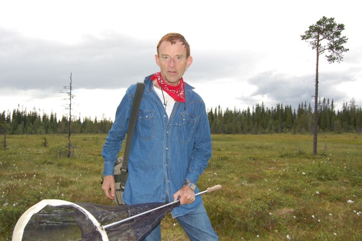 På ei myr i Trysil finner Morten blomsterfluen Villa Occulta, for første gang i Norge. Foto: Sissel Henriksen På ei myr i Trysil finner Morten blomsterfluen Villa Occulta, for første gang i Norge. Foto: Sissel Henriksen