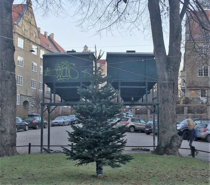 Juletreet i parken blir gruset på størrelse av kommunens grussiloer. Foto: Angela Amoroso Juletreet i parken blir gruset på størrelse av kommunens grussiloer. Foto: Angela Amoroso