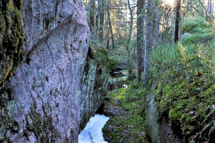 Dette er en litt større bergsprekk. Her kan bekken ha gravd seg ned igjennom en mykere bergtype, og etterlater oss med et magisk landskap. Ser du huldra mellom trærne? Mika mente forøvrig at skummet i bekken skyldtes at reven hadde vasket pelsen sin med sjampo. Det er ikke en helt usannsynlig forklaring. Foto: Sara Linea Pihl / Katja Johanne Pihl Dette er en litt større bergsprekk. Her kan bekken ha gravd seg ned igjennom en mykere bergtype, og etterlater oss med et magisk landskap. Ser du huldra mellom trærne? Mika mente forøvrig at skummet i bekken skyldtes at reven hadde vasket pelsen sin med sjampo. Det er ikke en helt usannsynlig forklaring. Foto: Sara Linea Pihl / Katja Johanne Pihl