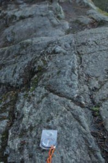 I Østmarka trenger du egentlig ikke kompass – du kan bare følge stripene i fjellet. Foto: Sara Linea Pihl / Katja Johanne Pihl I Østmarka trenger du egentlig ikke kompass – du kan bare følge stripene i fjellet. Foto: Sara Linea Pihl / Katja Johanne Pihl