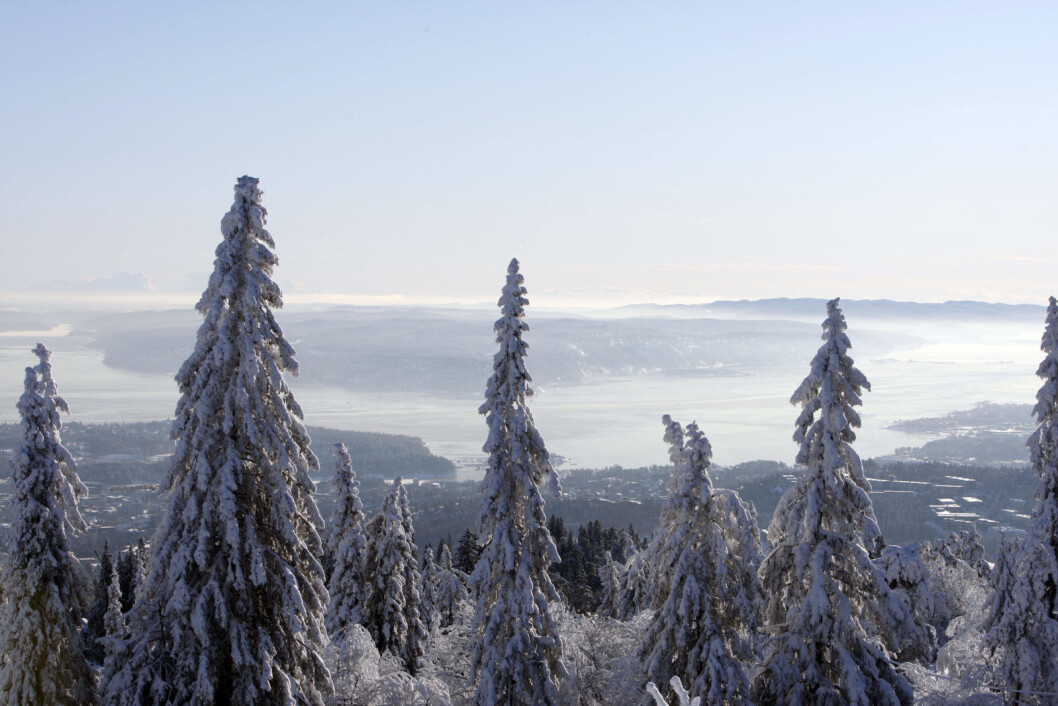Utsikt fra Holmenkollen i Nordmarka mot Oslofjorden og Nesodden. Foto: Lise Åserud / Scanpix Utsikt fra Holmenkollen i Nordmarka mot Oslofjorden og Nesodden. Foto: Lise Åserud / Scanpix
