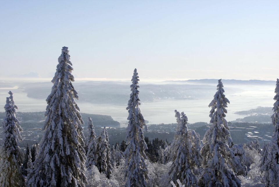 Utsikt fra Holmenkollen i Nordmarka mot Oslofjorden og Nesodden. Foto: Lise Åserud / Scanpix