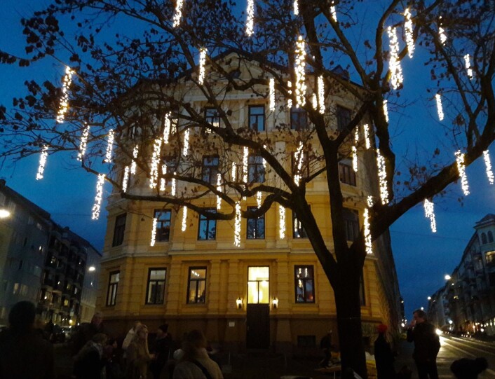I det store asketreet på Margrethe Munthes plass er har det blitt hengt opp lys. Foto: Anders Høilund I det store asketreet på Margrethe Munthes plass er har det blitt hengt opp lys. Foto: Anders Høilund