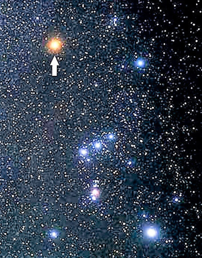 Her i stjernebildet Orion kan du i natt finne superstjernen Betelgeuse. Foto: Wikimedia Commons Her i stjernebildet Orion kan du i natt finne superstjernen Betelgeuse. Foto: Wikimedia Commons