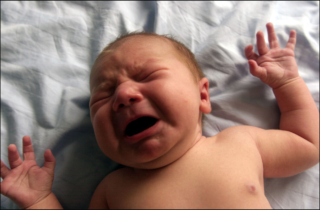 Nyfødt guttebaby gråter. Foto: Lise Åserud / SCANPIX (FRB) Nyfødt guttebaby gråter. Foto: Lise Åserud / SCANPIX (FRB)