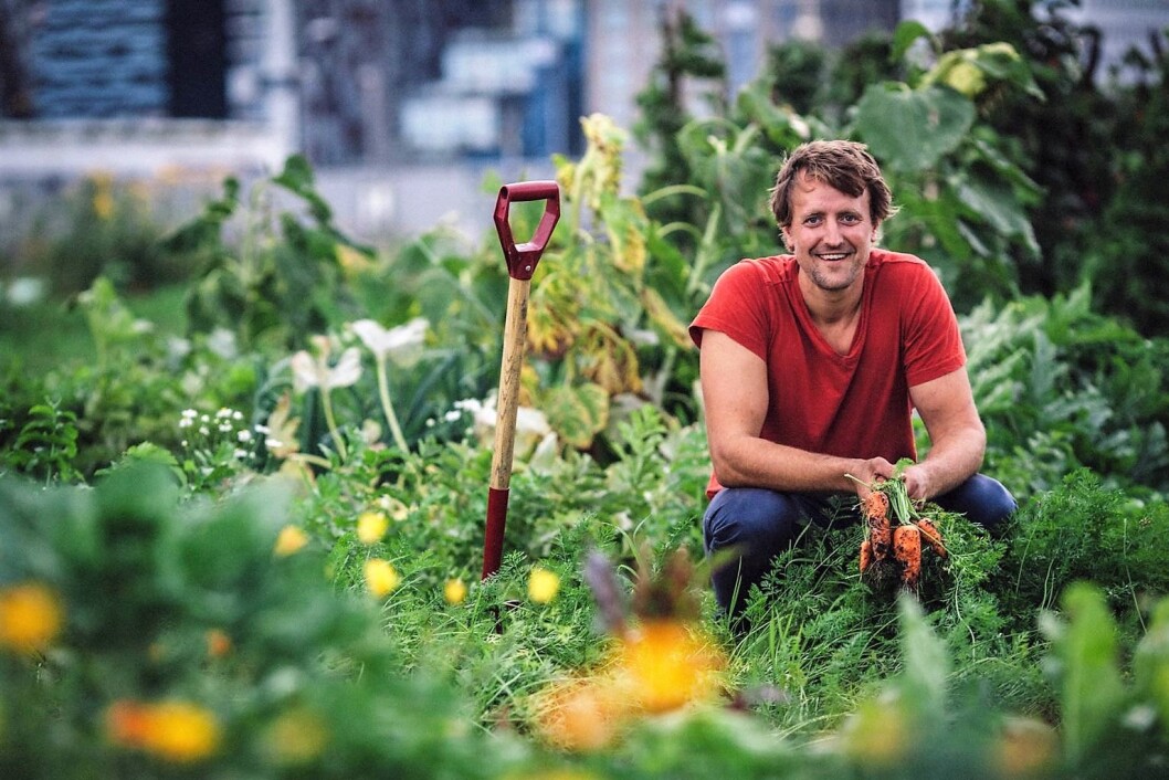 Nå kan du bli Andreas Capjons etterfølger som bybonde. Foto: Lene Neverdal Nå kan du bli Andreas Capjons etterfølger som bybonde. Foto: Lene Neverdal