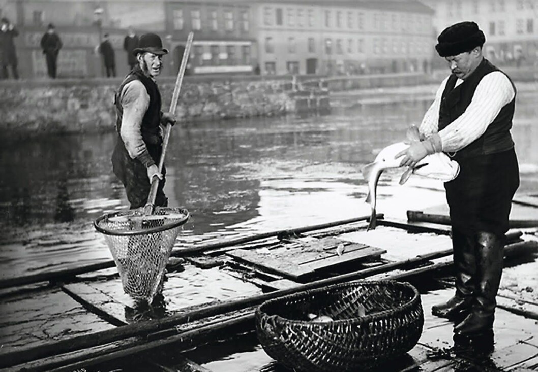 Fiskere ved Fiskebrygga, Sadelmakerhullet i 1905. Foto: Anders B. Wilse / Oslo museum Fiskere ved Fiskebrygga, Sadelmakerhullet i 1905. Foto: Anders B. Wilse / Oslo museum