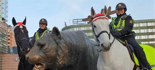 Politihester med nisselue patruljerte julestille gater i Oslo