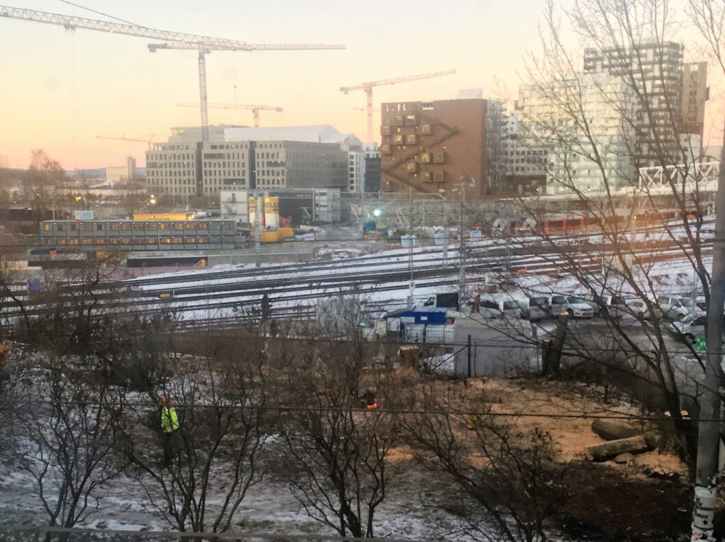 Man kan ikke tro at et nybygg med flatt tak med noe grønt på og felles takterrasse kan erstatte et stort flott gammelt tre i en park på historisk grunn, mener naboer. Foto: Einar Solfjeld Man kan ikke tro at et nybygg med flatt tak med noe grønt på og felles takterrasse kan erstatte et stort flott gammelt tre i en park på historisk grunn, mener naboer. Foto: Einar Solfjeld