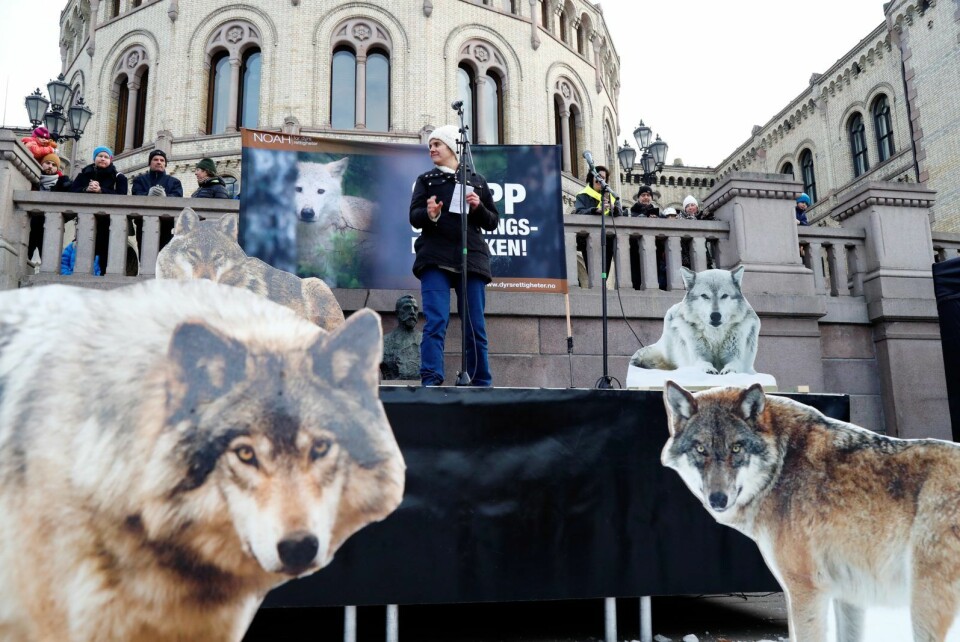 Leder i dyrevernorganisasjonen NOAH,  Siri Martinsen, holder appell foran Stortinget under lørdagens demonstrasjon for å bevare ulv og andre rovdyr i Norge. Foto: Heiko Junge / NTB scanpix