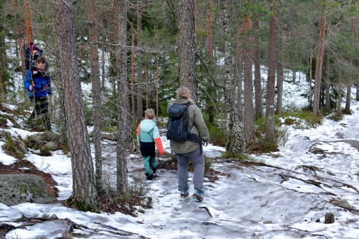 I Østmarka finnes en "sosial" bakke. Foto: Katja Johanne Pihl I Østmarka finnes en "sosial" bakke. Foto: Katja Johanne Pihl