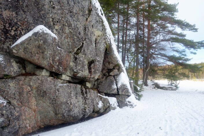 Myras perspektiv er annerledes enn vårt. Vinteren lar oss oppleve det. Vanligvis ville vi stått oppå denne knausen, og gått glipp av så vakker den er. Foto: Katja Johanne Pihl Myras perspektiv er annerledes enn vårt. Vinteren lar oss oppleve det. Vanligvis ville vi stått oppå denne knausen, og gått glipp av så vakker den er. Foto: Katja Johanne Pihl