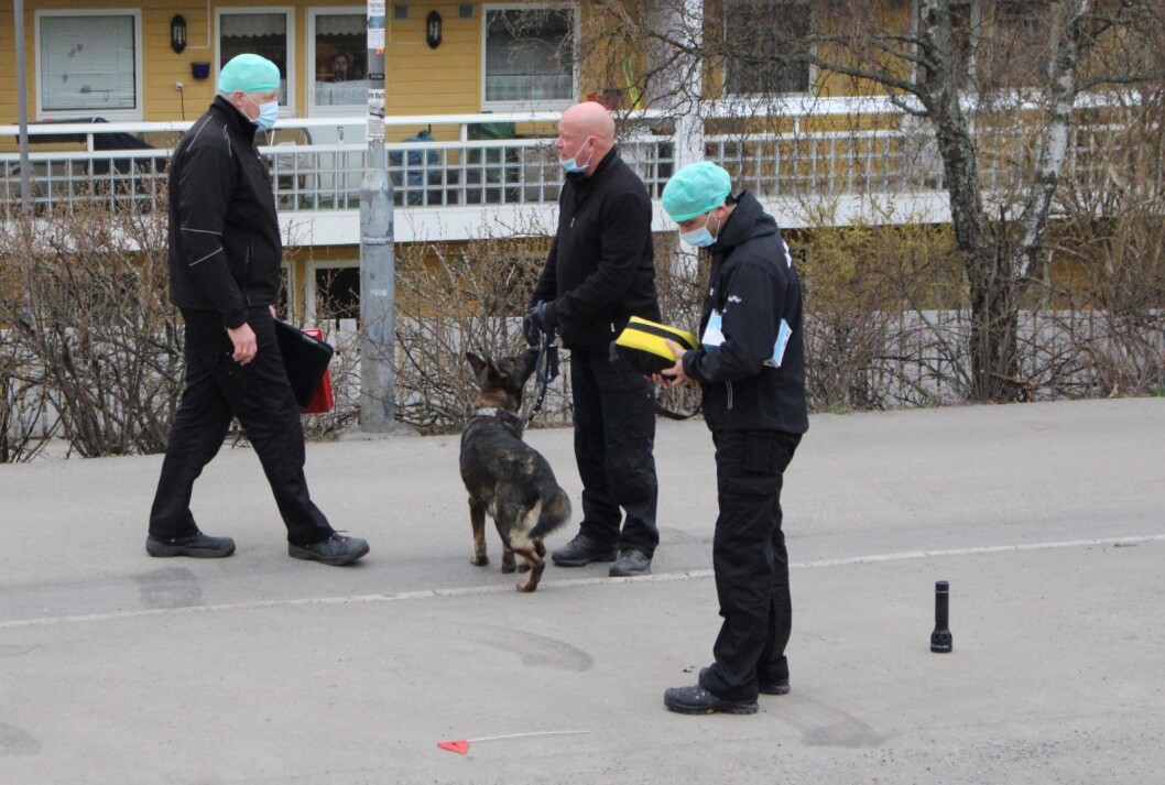 Oslo politidistrikt opplever for tiden en stor mangel på kvalifiserte og erfarne etterforskere. Illustrasjonsfoto: Henrik Skolt / NTB scanpix Oslo politidistrikt opplever for tiden en stor mangel på kvalifiserte og erfarne etterforskere. Illustrasjonsfoto: Henrik Skolt / NTB scanpix