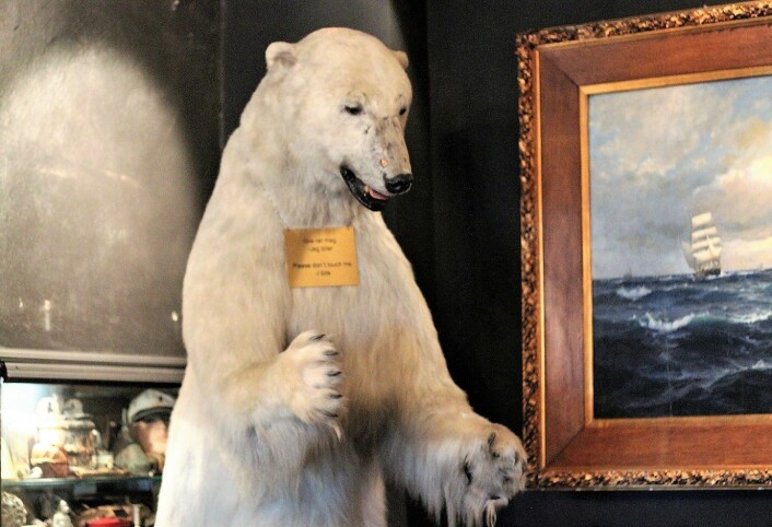 Isbjørnen skal fortsatt være en attraksjon på Louise, men nå blir den buret inne for å ikke forstyrre gjestene. Foto: André Kjernsli