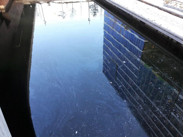 Nok en gang kan flere tusen liter fyringsolje være lekket ut i Akerselva. Foto: Anders Høilund Nok en gang kan flere tusen liter fyringsolje være lekket ut i Akerselva. Foto: Anders Høilund