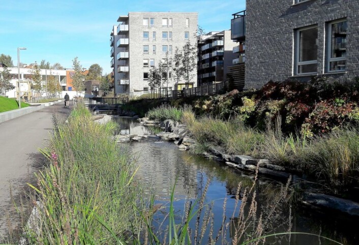 Den delen av Hovinbekken som renner gjennom bebyggelsen på Ensjø, klarte seg unna forurensningen denne gangen. Foto: Anders Høilund Den delen av Hovinbekken som renner gjennom bebyggelsen på Ensjø, klarte seg unna forurensningen denne gangen. Foto: Anders Høilund
