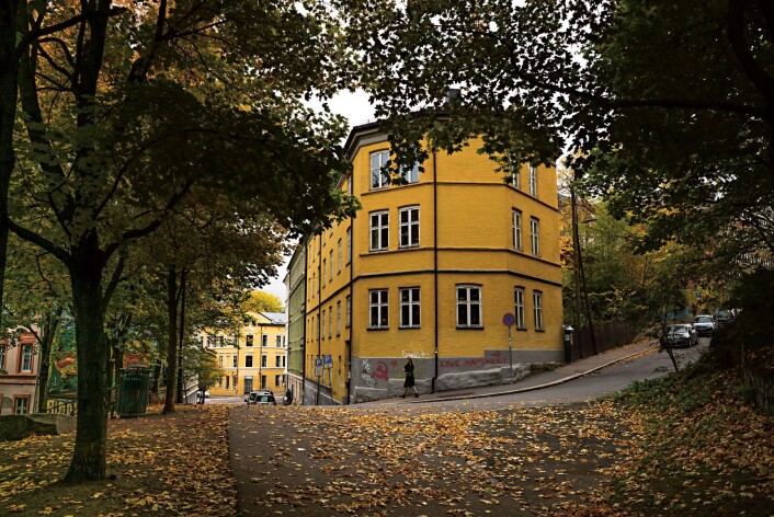 Høst på Kampen. Foto: Magne Geir Bøe. Høst på Kampen. Foto: Magne Geir Bøe.