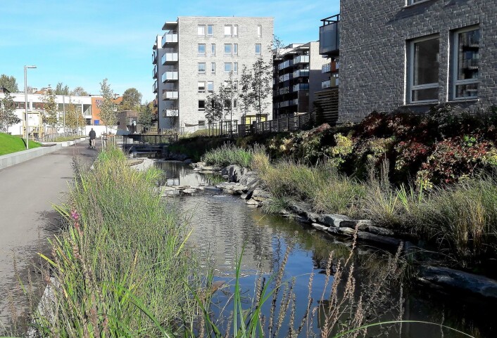 Hovinbekken klukker nå gjennom bebyggelsen på Ensjø og Hasle. I vannet svømmer ørret og røye. Foto: Anders Høilund Hovinbekken klukker nå gjennom bebyggelsen på Ensjø og Hasle. I vannet svømmer ørret og røye. Foto: Anders Høilund