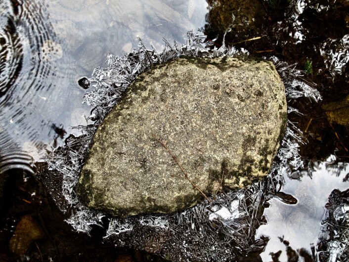 Dette hadde vært minusgrader om natta, og lufta var skarp og frisk. I løpet av de mørke timene hadde kulda skapt en isglorie til steinen som må være en god bekjent. Foto: Katja Johanne Pihl Dette hadde vært minusgrader om natta, og lufta var skarp og frisk. I løpet av de mørke timene hadde kulda skapt en isglorie til steinen som må være en god bekjent. Foto: Katja Johanne Pihl