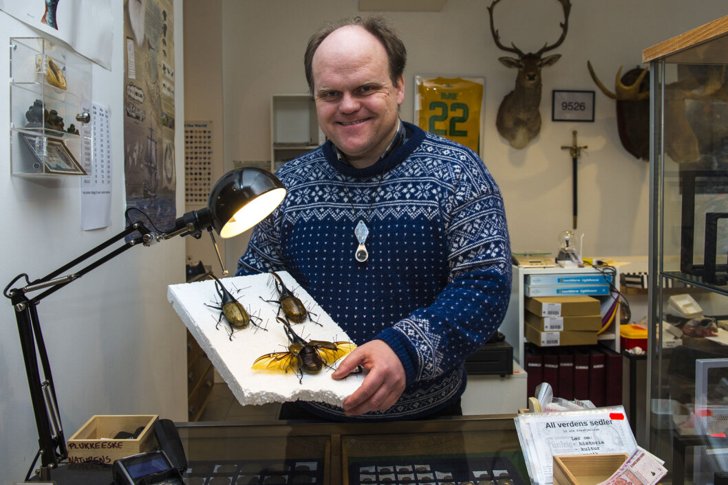 Butikkinnehaver Rune Frøyland viser stolt frem sin samling av herkulesbiller. Foto: Morten Lauveng Jørgensen Butikkinnehaver Rune Frøyland viser stolt frem sin samling av herkulesbiller. Foto: Morten Lauveng Jørgensen
