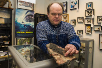 Rune Frøyland viser oss stadig flere av butikkens merkelige objekter. Foto: Morten Lauveng Jørgensen Rune Frøyland viser oss stadig flere av butikkens merkelige objekter. Foto: Morten Lauveng Jørgensen