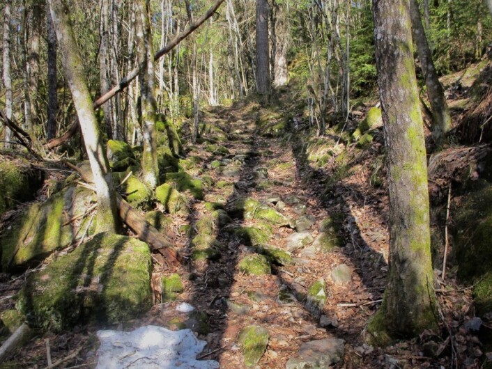 Stien så først innbydende og vakker ut! Vi nærmest fløy oppover fra høydekurve til høydekurve. Foto: Søstrene Pihl Stien så først innbydende og vakker ut! Vi nærmest fløy oppover fra høydekurve til høydekurve. Foto: Søstrene Pihl