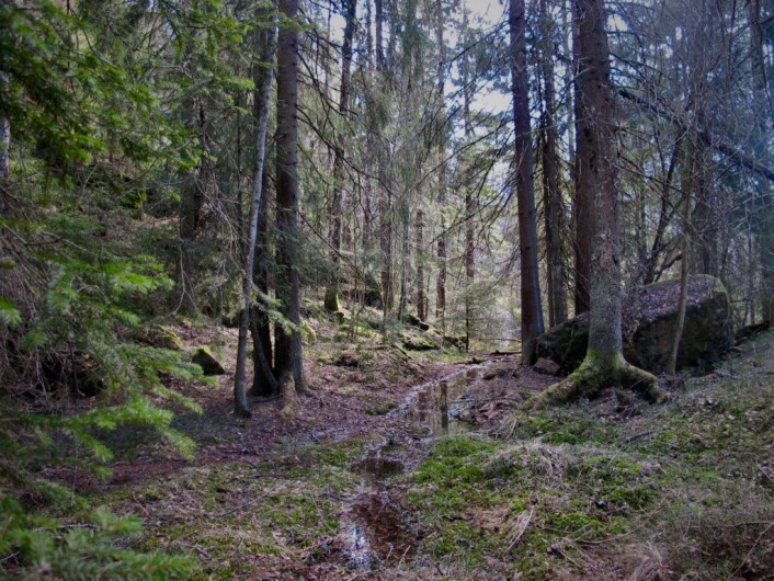 Etterhvert ble det mørkt og vått. Foto: Søstrene Pihl Etterhvert ble det mørkt og vått. Foto: Søstrene Pihl