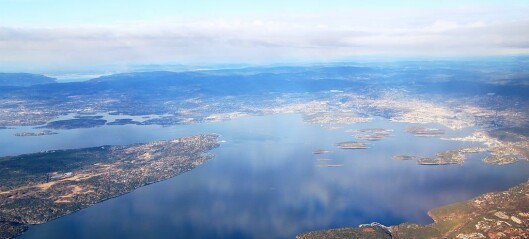 Vannet i Indre Oslofjord er mer oksygenrikt enn på lenge. Det er godt nytt for livet i fjorden