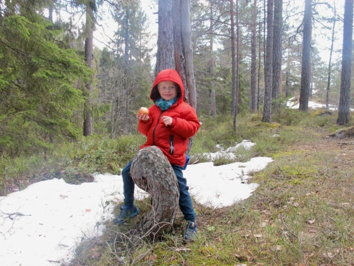 Mika på Plumpemannens kjøkkentrapp. Foto: Søstrene Pihl Mika på Plumpemannens kjøkkentrapp. Foto: Søstrene Pihl