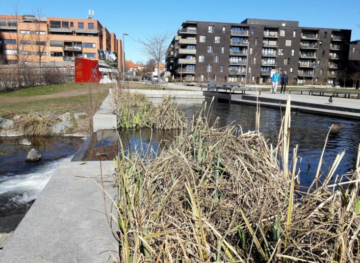Herfra er det meningen at bekken skal danne to bekkeløp, ett til Østre og ett til Vestre parkdrag. Hovinbekken følger nå et midlertidig løp noen hundre meter. Foto Anders Høilund Herfra er det meningen at bekken skal danne to bekkeløp, ett til Østre og ett til Vestre parkdrag. Hovinbekken følger nå et midlertidig løp noen hundre meter. Foto Anders Høilund