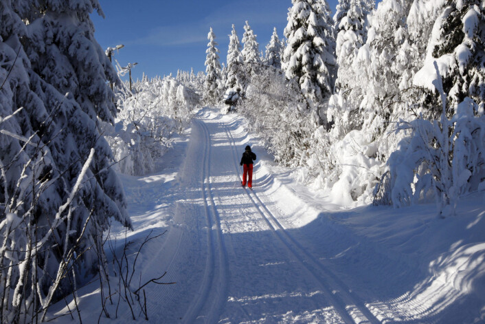 Storbyen Oslo kan hver vinter lokke med milevis av skiløyper i Nordmarka, Østmarka, Sørmarka og Lillomarka. I tillegg er det gode muligheter for både alpint og snowboard i hovedstaden. Foto: Lise Åserud / SCANPIX Storbyen Oslo kan hver vinter lokke med milevis av skiløyper i Nordmarka, Østmarka, Sørmarka og Lillomarka. I tillegg er det gode muligheter for både alpint og snowboard i hovedstaden. Foto: Lise Åserud / SCANPIX