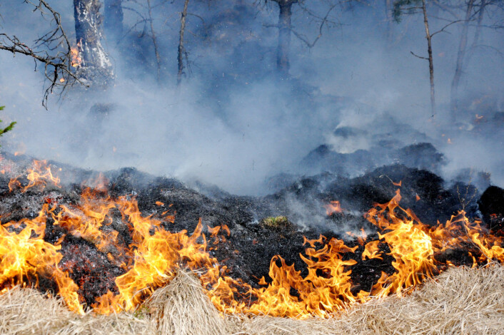 Brannvesenet rykket mandag ettermiddag ut til fire ulike gressbranner i hovedstaden, henholdsvis ved Skøyenåsen skole, Vestli T-banestasjon, Grorud T-banestasjon og ved Sagene. Arkivfoto: Jørn Bærheim / Scanpix Brannvesenet rykket mandag ettermiddag ut til fire ulike gressbranner i hovedstaden, henholdsvis ved Skøyenåsen skole, Vestli T-banestasjon, Grorud T-banestasjon og ved Sagene. Arkivfoto: Jørn Bærheim / Scanpix
