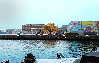 Stein Erik Hagens selvlysende tre havner ved skur 13 på Filipstad. Men kommunen får bare låne treet