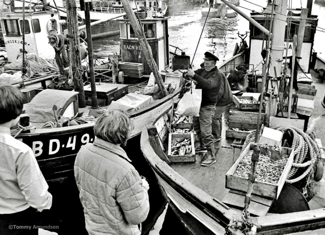 Fiskeskøyter ved Rådhusbrygga: Foto: Tommy Amundsen Fiskeskøyter ved Rådhusbrygga: Foto: Tommy Amundsen