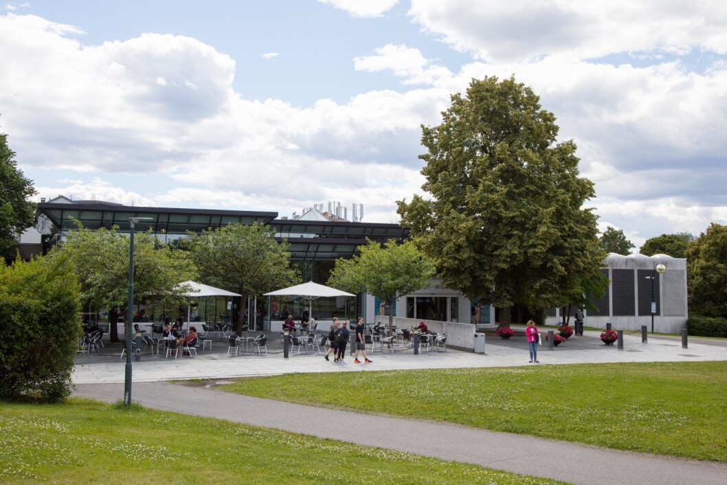 Opptil 40 menn i uviss alder skal ifølge politiet ha vært involvert i slagsmål ved Munchmuseet på Tøyen. Foto: Audun Braastad / NTB scanpix Opptil 40 menn i uviss alder skal ifølge politiet ha vært involvert i slagsmål ved Munchmuseet på Tøyen. Foto: Audun Braastad / NTB scanpix