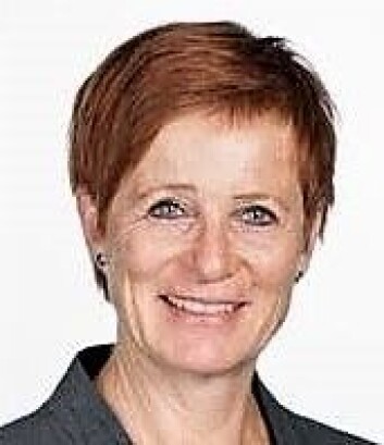 Pressekontakt Karin Steenstrup forteller at et nytt reguleringsarbeid er startet rundt en ny Ensjø skole. Foto: Privat Pressekontakt Karin Steenstrup forteller at et nytt reguleringsarbeid er startet rundt en ny Ensjø skole. Foto: Privat
