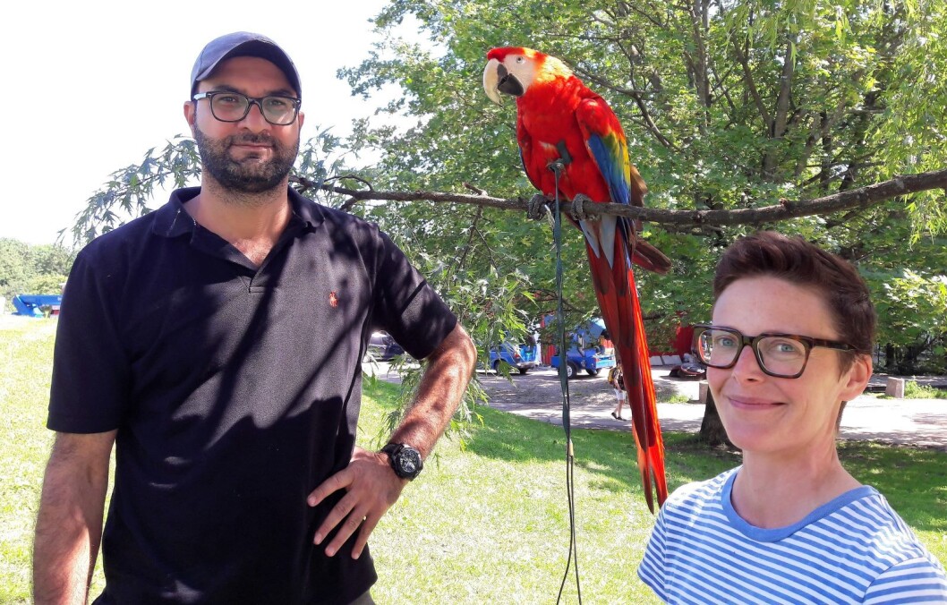 På tur fra Grünerløkka til Myraløkka: Yousef Al Farargeh, Lisa Nielsen og fargerike Petra. Foto: Anders Høilund På tur fra Grünerløkka til Myraløkka: Yousef Al Farargeh, Lisa Nielsen og fargerike Petra. Foto: Anders Høilund