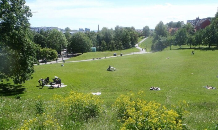 De store plenene ved Myraløkka fylles gradvis opp av solbadere på varme sommerdager. Foto: Anders Høilund De store plenene ved Myraløkka fylles gradvis opp av solbadere på varme sommerdager. Foto: Anders Høilund
