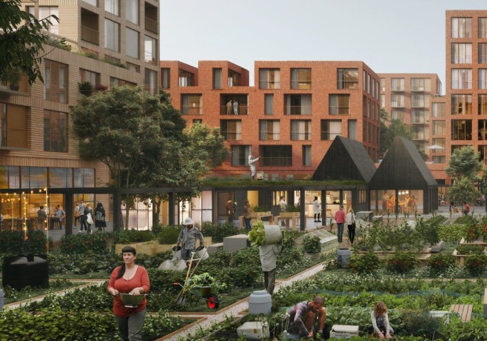 Illustrasjonsbilde av boligprosjektet (som heter 9.4), med parsellhager og felleshus i midten. Illustrasjon: Dyrvik Arkitekter / Transborder Studio / OBOS Illustrasjonsbilde av boligprosjektet (som heter 9.4), med parsellhager og felleshus i midten. Illustrasjon: Dyrvik Arkitekter / Transborder Studio / OBOS