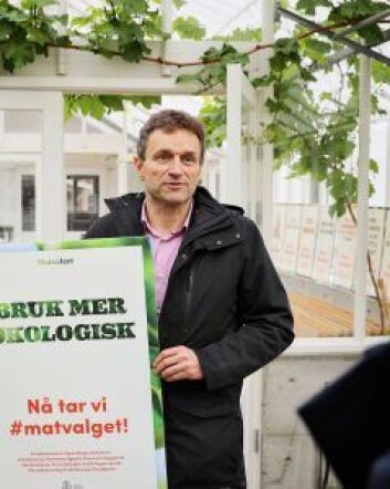 Miljøbyråd Arild Hermstad ønsker å sette fart på satsingen innen økologisk mat i kommunen. Foto: Birgitta Eva Hollander - Heia Folk Miljøbyråd Arild Hermstad ønsker å sette fart på satsingen innen økologisk mat i kommunen. Foto: Birgitta Eva Hollander - Heia Folk