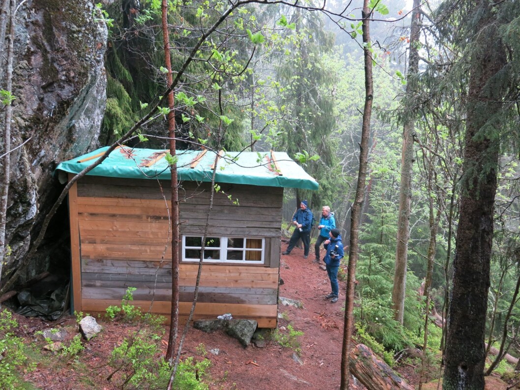 Uteliggerhytta på Grefsenåsen er restaurert og tilgjengelig for folk flest. Foto: Turid Årsheim, Riksantikvaren Uteliggerhytta på Grefsenåsen er restaurert og tilgjengelig for folk flest. Foto: Turid Årsheim, Riksantikvaren
