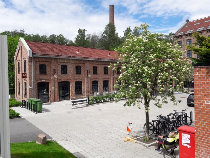 Løperne skrøt av miljøet og løypeleggingen under NM. Foto: Anders Høilnd Løperne skrøt av miljøet og løypeleggingen under NM. Foto: Anders Høilnd