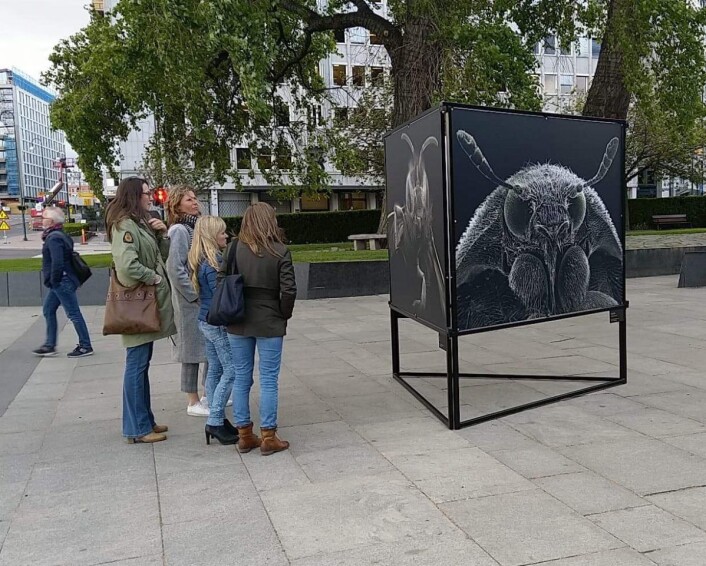 Frem til midten av juni kan du se ansikter i menneskestørrelse på Rådhusplassen. Foto: April Stilley Frem til midten av juni kan du se ansikter i menneskestørrelse på Rådhusplassen. Foto: April Stilley