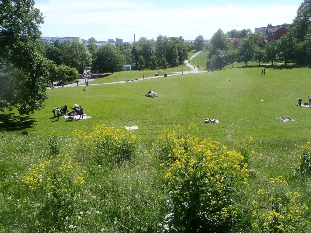Det er kanskje ikke rart at det klør i fingrene hos utbyggerne når de ser områder som Myraløkka. Foto: Anders Høilund Det er kanskje ikke rart at det klør i fingrene hos utbyggerne når de ser områder som Myraløkka. Foto: Anders Høilund